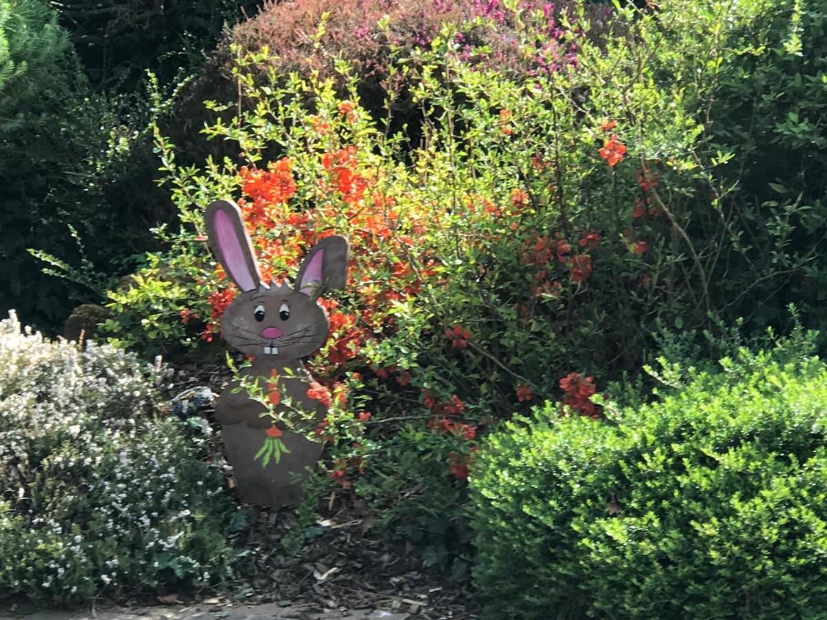 Bien Etre Et Detente Chez Cote Campagne Et Jardin Ohnenheim Exteriér fotografie